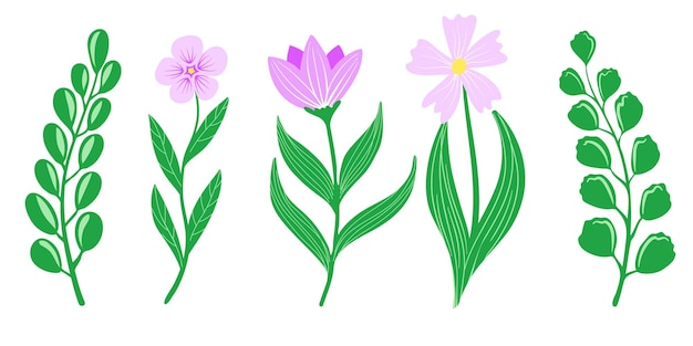 Simple spring hand drawn flowers set with leaf