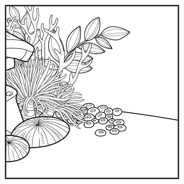 Simple square background of the seabed with stones corals and algae linear drawing for coloring page on a white