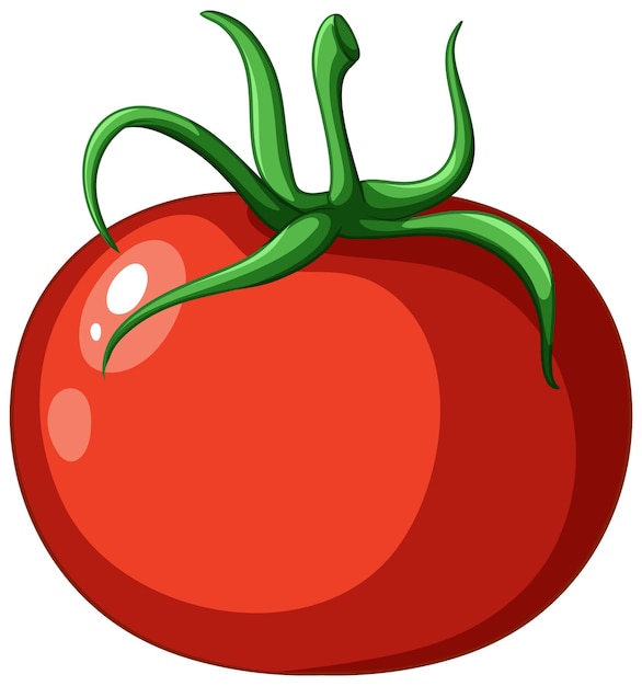 A simple tomato cartoon isolated