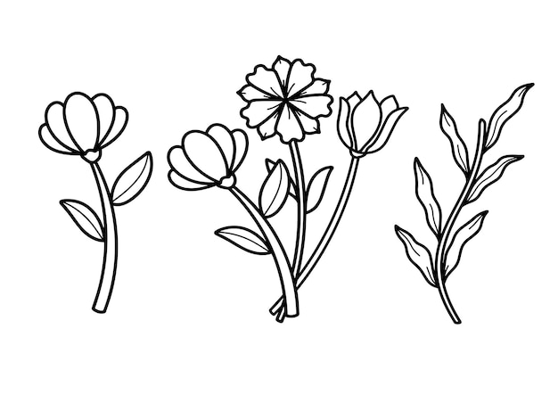 Simple Transparent flower doodle leaves and herb