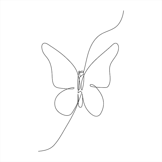 Simple vector abstract outline beautiful butterfly isolated on white background and minimal