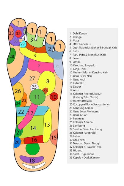 Vector simple vector acupuncture traditional alternative heal left and right foot and indonesia description