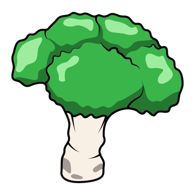 Simple vector of broccoli vegetables