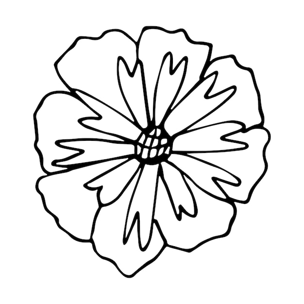 Simple vector flower clipart Hand drawn floral illustration Spring doodle icon