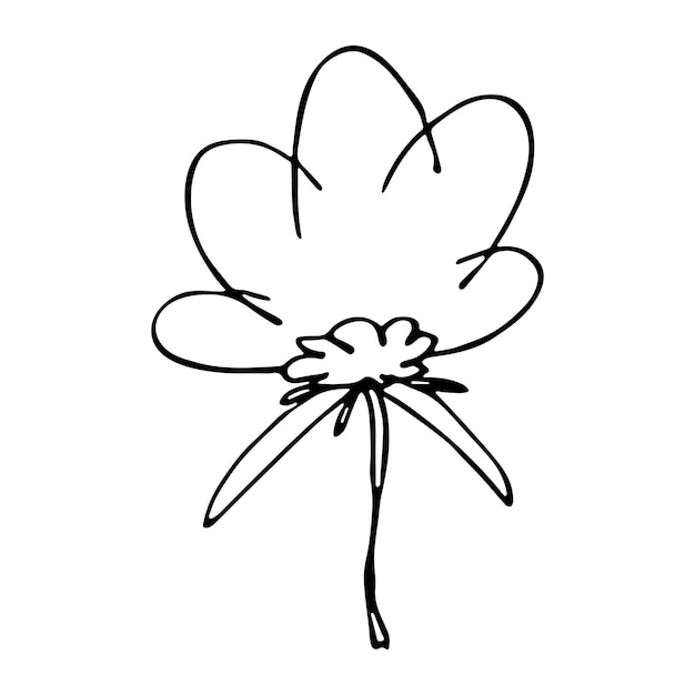 Simple vector flower clipart hand drawn floral illustration spring doodle icon