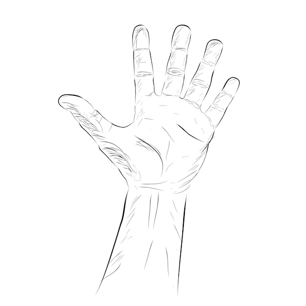 Simple Vector Hand Draw Sketch Gesture Five or surrender or 5 flat color