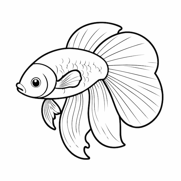 Simple vector illustration of Betta drawing for kids colouring page