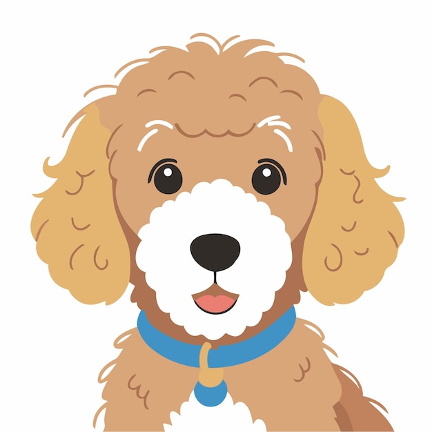 Vector simple vector illustration of a goldendoodle for kids book