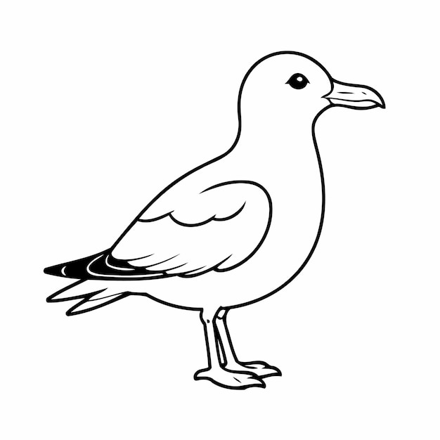 Vector simple vector illustration of seagull hand drawn for toddlers