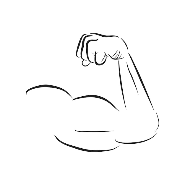 Vettore braccio di schizzo vettoriale semplice dell'uomo muscolare isolato su bianco