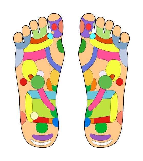 Simple vector traditional alternative heal acupuncture left and right foot