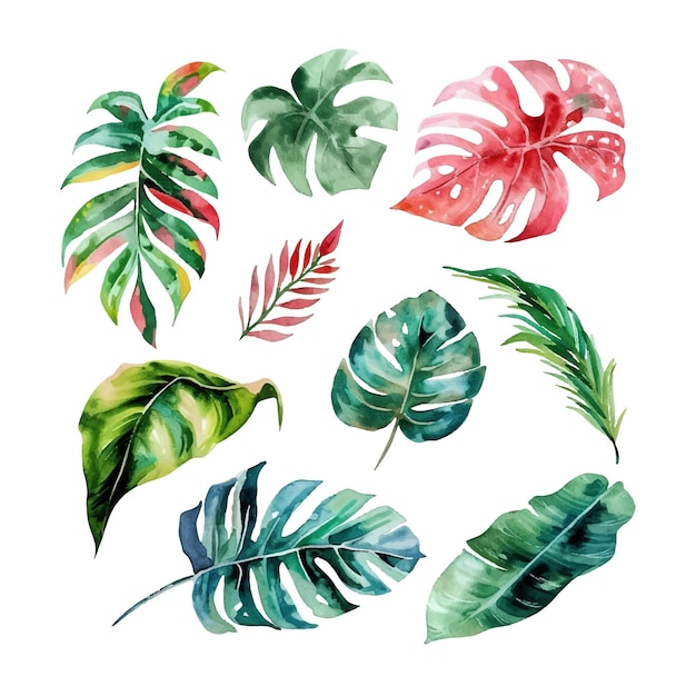simple vector watercolor set of tropical leaves