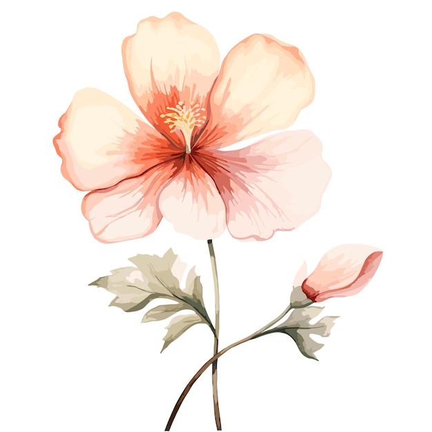 Vector simple watercolor flower