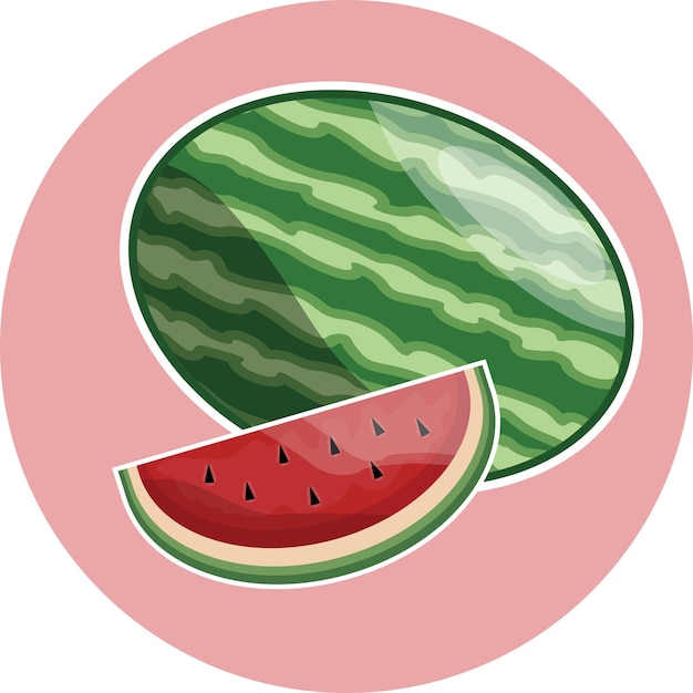 Vector simple watermelon illustration and icon