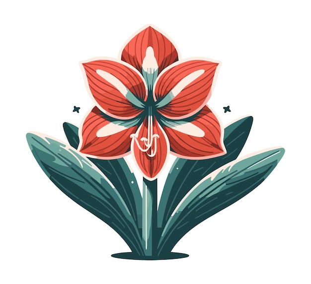 Simplified Amaryllis Flower Vector on White Background