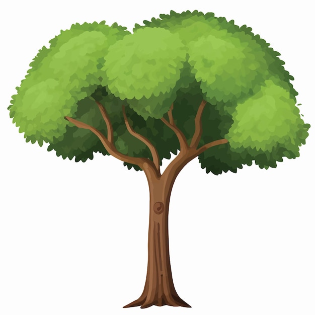 Vector simplified nature flat tree illustration on white background