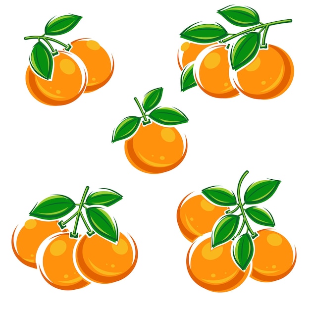 Sinaasappels set collectie iconen oranje vector