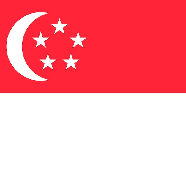 Singapore flag official colors Vector illustration