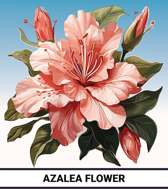 Single azalea flower design met bladeren