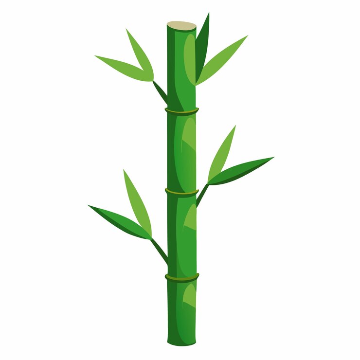 Vector single bamboo plant white background
