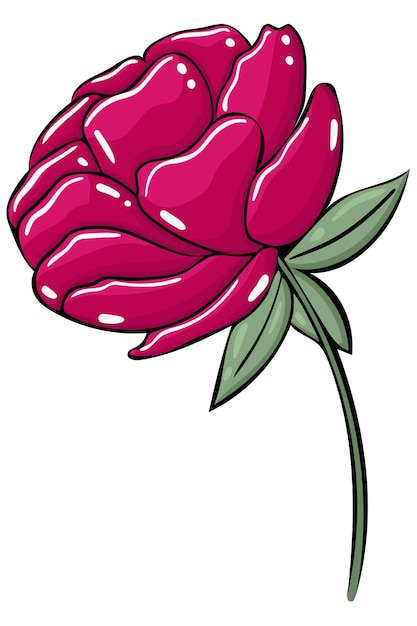 Vector single burgundy peony isolated vector illustration