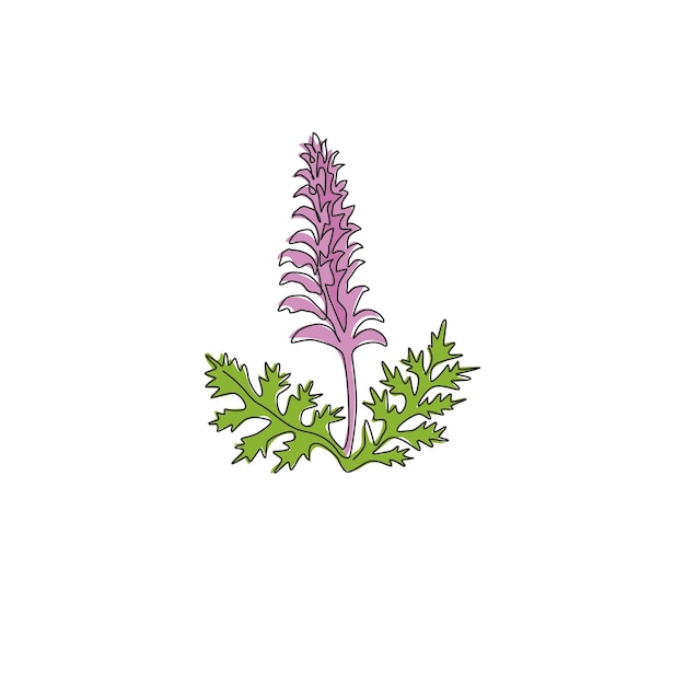 Один непрерывный рисунок линии красоты медведя брюки для садового логотипа Акантус цветок для цветочной