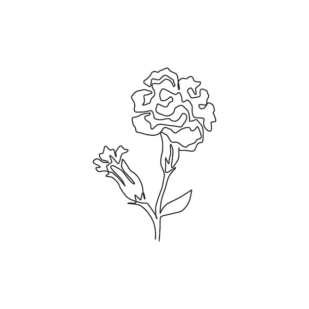 Vector single continuous line drawing beauty dianthus for wall art carnation flower draw design vector