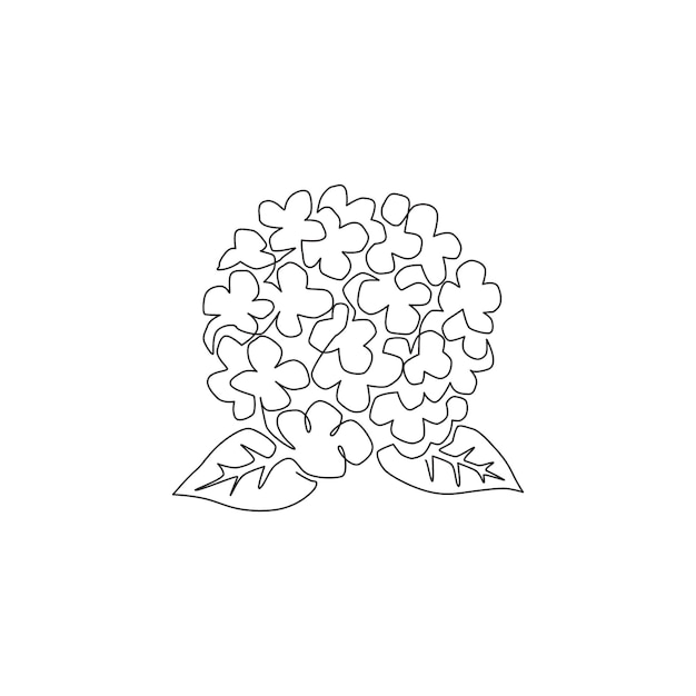 Single continuous line drawing beauty hortensia for home wall decor Hydrangea flower design vector