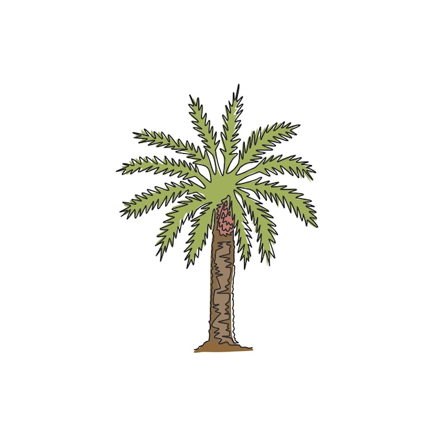 Vector single continuous line drawing of beauty phoenix dactylifera tree date palm plant for home decor