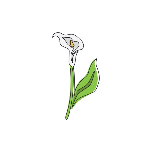 Disegno a linea continua di bellezza zantedeschia per l'arte della decorazione domestica arum printabile fiore di giglio