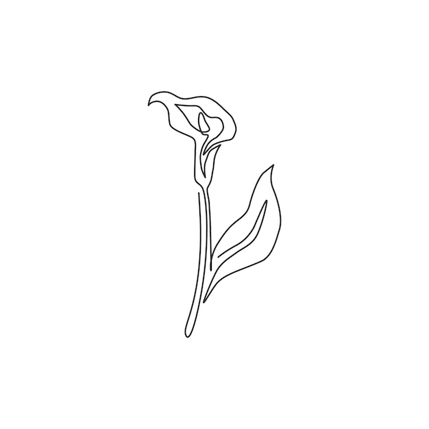 Disegno a linea continua singola di zantedeschia di bellezza per l'arte dell'arredamento della casa fiore di giglio di arum stampabile