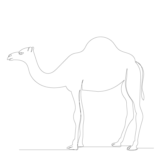 Single continuous line drawing camel