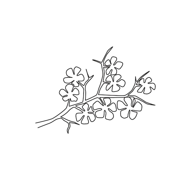 Single continuous line drawing cherry blossom for home decor Decorative sakura flower design vector