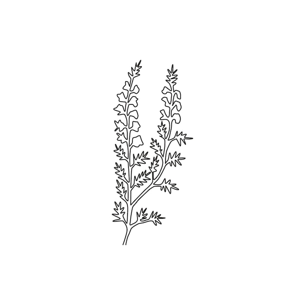 Вектор Одиночная непрерывная линия рисования вереска, домашний декор, настенное искусство calluna vulgaris, цветочный дизайн, вектор