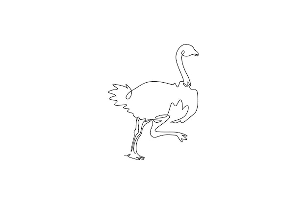 Vector single continuous line drawing ostrich bird run endangered animal national park conservation vector