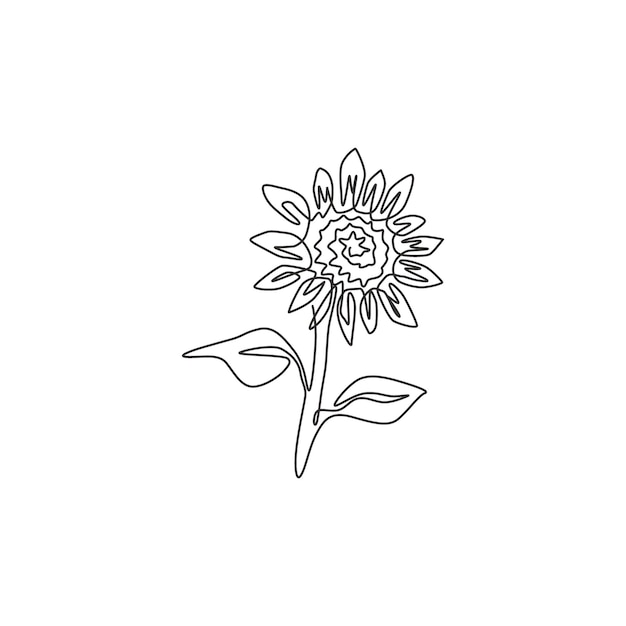 Single continuous line drawing sunflower park logo Decorative helianthus springvector illustration