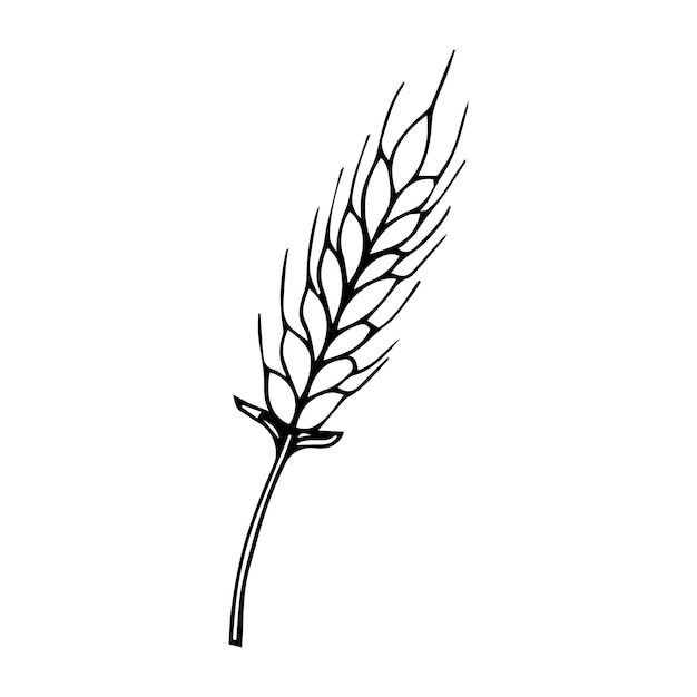 Single continuous line drawing of whole healthy organic wheat grain for farm logo identity.