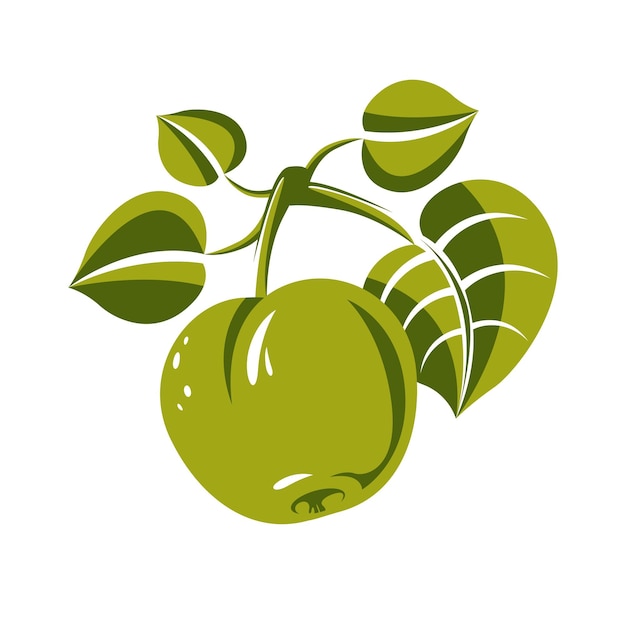 Single green simple vector apple with leaves, ripe sweet fruit illustration. Healthy and organic food, harvest season symbol.