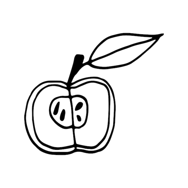 Single hand drawn apple. Doodle vector illustration.