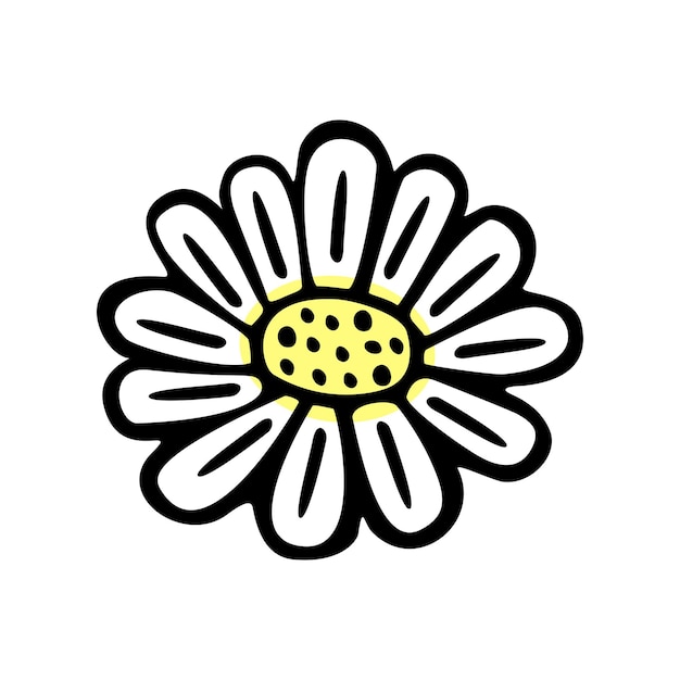 Single hand drawn floral element chamomile