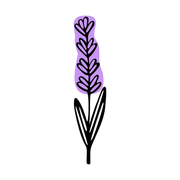 Single hand drawn floral element lavender