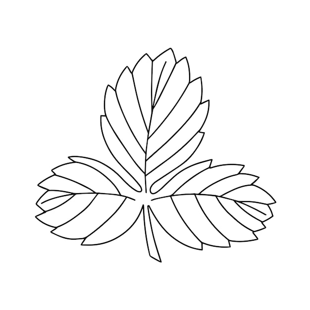 Вектор Один лист клубники. штриховой рисунок летнего растения.