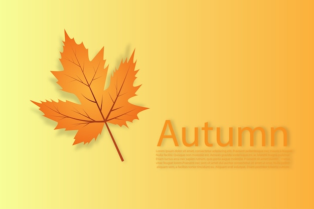 Single leaves autumn season background.