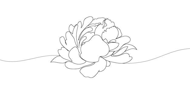 Однолинейная векторная иллюстрация цветка пиона Красивая линия искусства Минималистский стиль элегантный рисунок