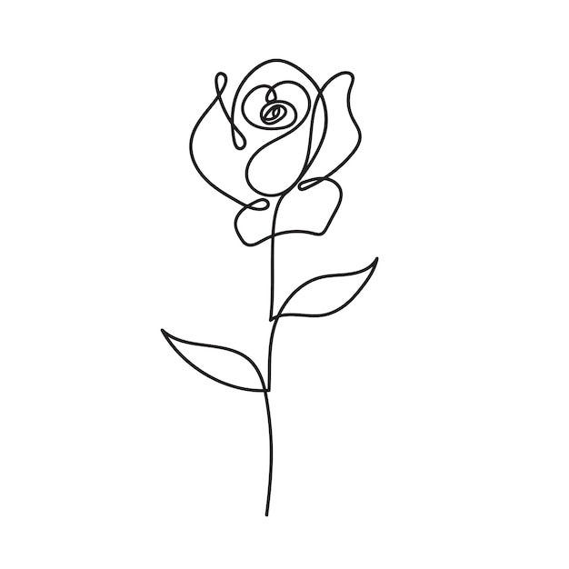 Single line vector rose illustration flower design