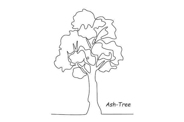 Single one line drawing ash tree Tree concept Continuous line draw design graphic vector illustration