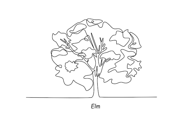 Single one line drawing elm tree concept continuous line draw design graphic vector illustration