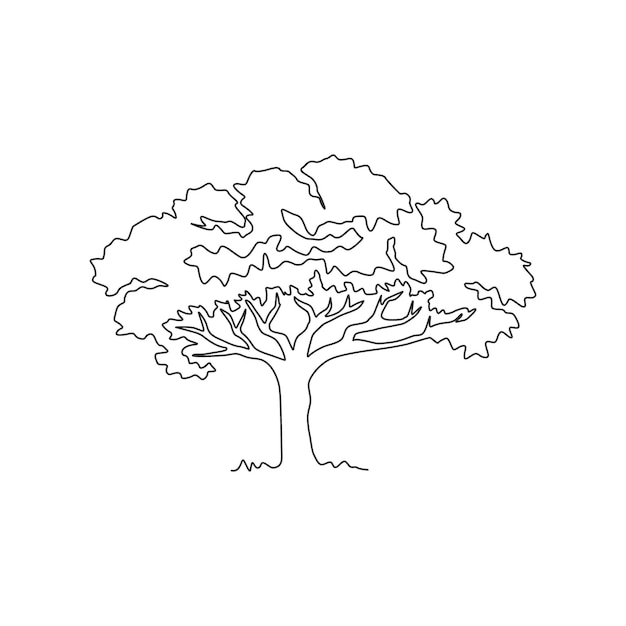 Single one line drawing of exotic and beauty marula tree Continuous line design vector illustration