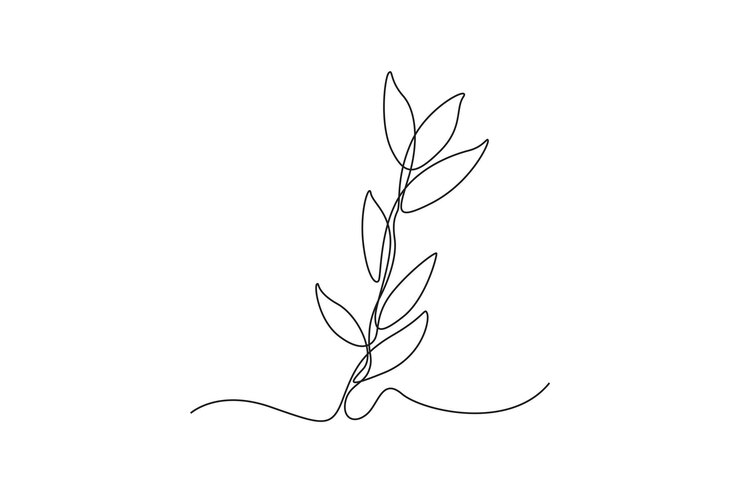 Vector single one line drawing plants and herbs concept continuous line draw design graphic vector illustration