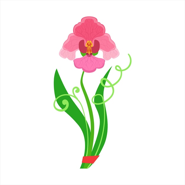 Vector single orchid flower bouquet tied with red ribbon flower shop decorative plants assortment item cartoon vector illustration